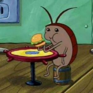 Meet your Posher, Eva